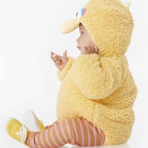 Pottery Barn Kids Sesame Street Big Bird Costume 12-24 Months